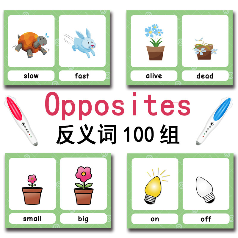 The 100 Groups Opposites Flash - Kids Education And You avaliação e preço