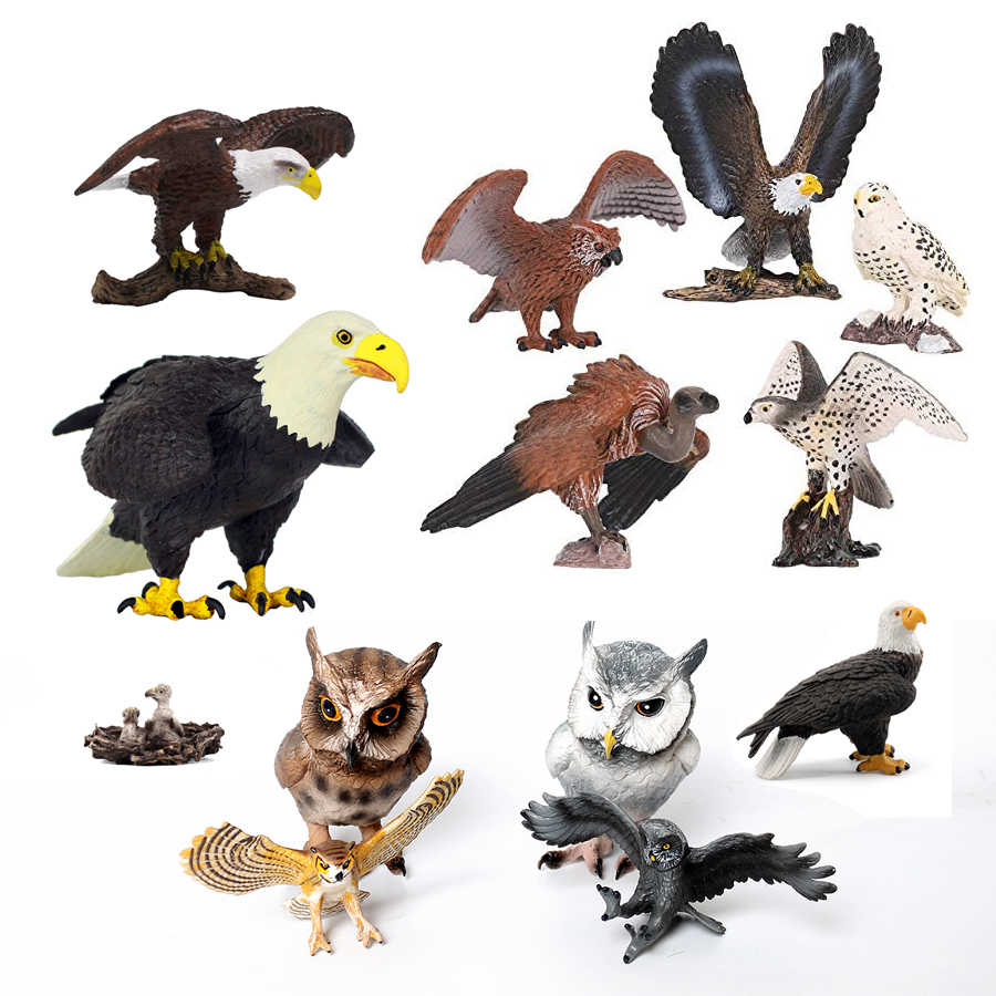 Realistic Plastic Birds of Pre - Kids Education Shows avaliação e preço