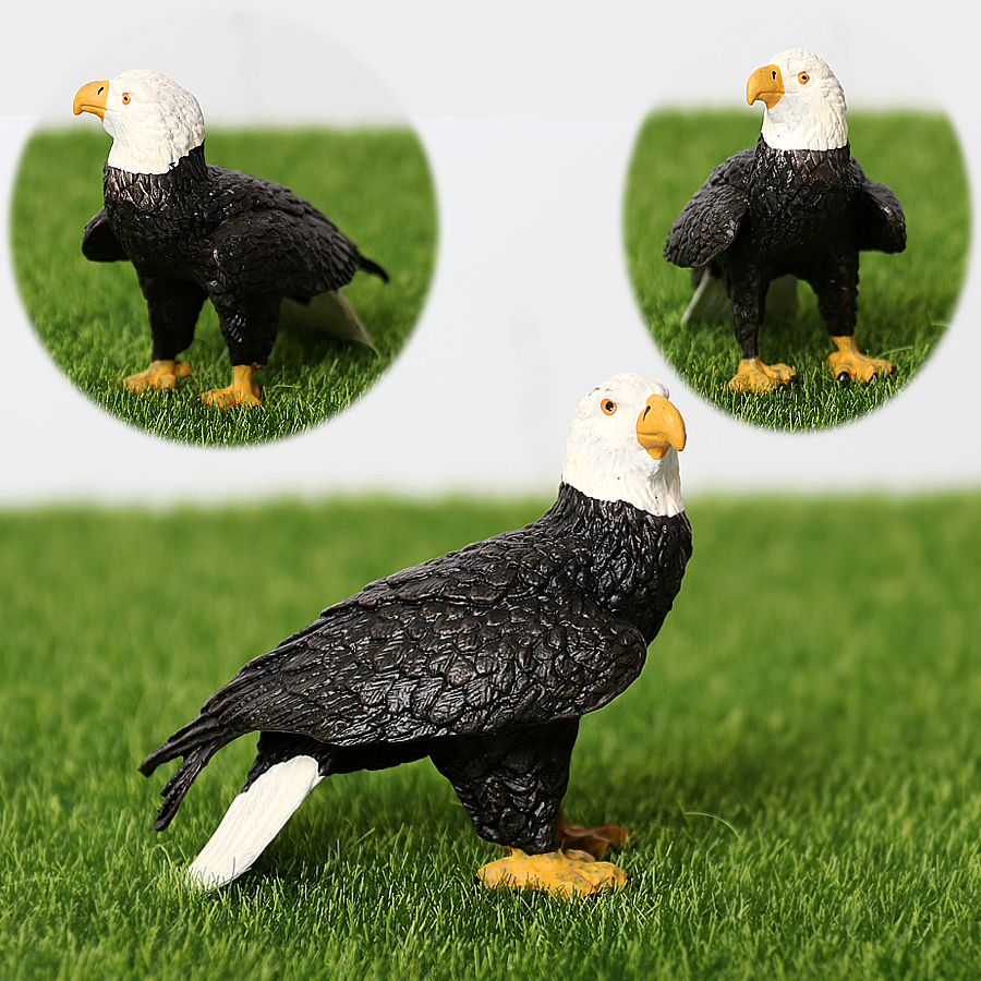 Realistic Plastic Birds of Pre - Kids Education Shows avaliação e preço