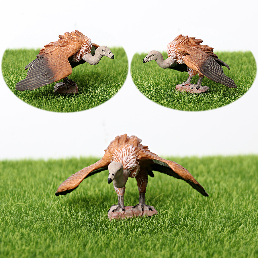 Realistic Plastic Birds of Pre - Kids Education Shows avaliação e preço