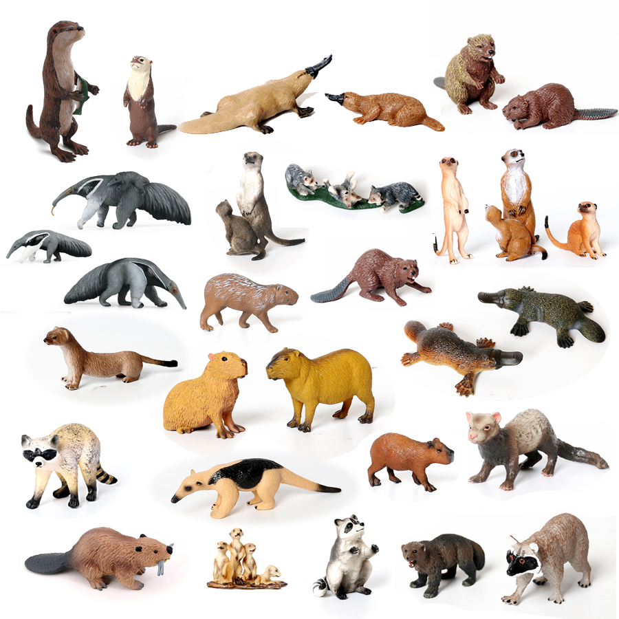 Realistic Woodland Creatures F - Kids Education Shows avaliação e preço