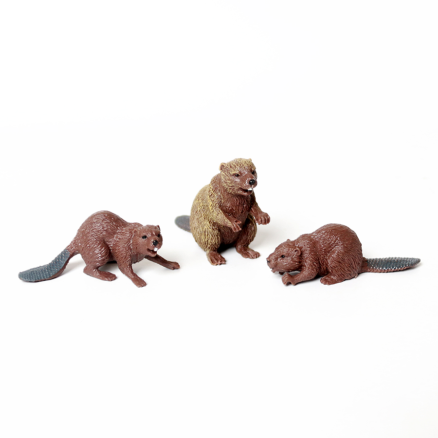 Realistic Woodland Creatures F - Kids Education Shows avaliação e preço
