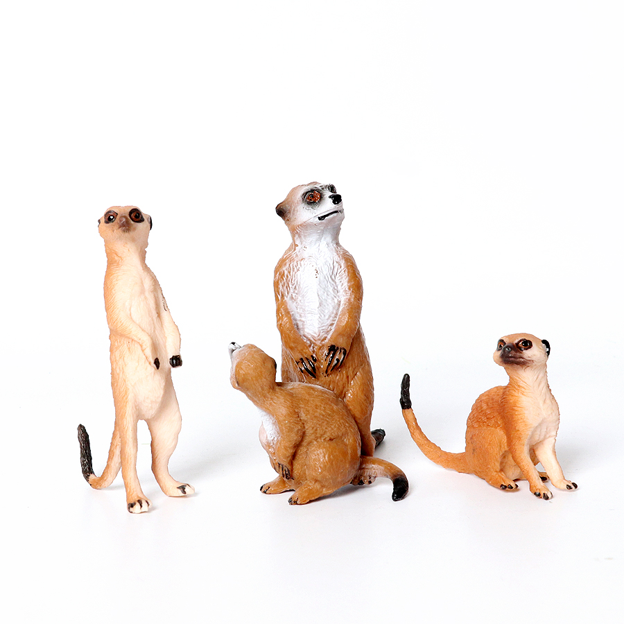 Realistic Woodland Creatures F - Kids Education Shows avaliação e preço