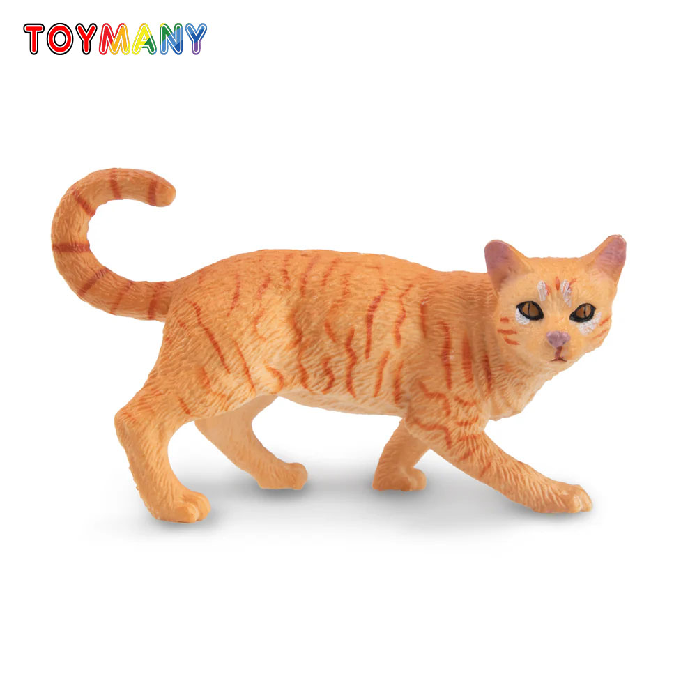 Toymany Simulation Striding Or - Kids Education Yes avaliação e preço