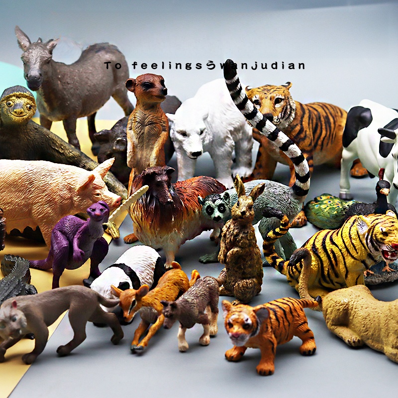 Educational Realistic Animal M - Kangaroo Kids Education avaliação e preço